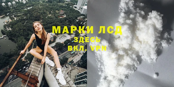 трава Арсеньев