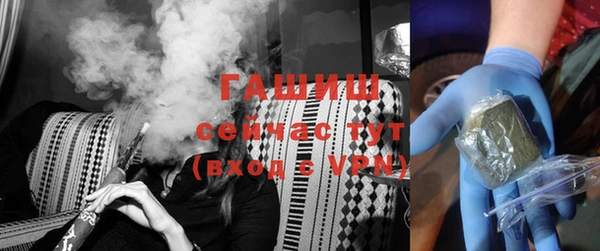 хмурый Алексин