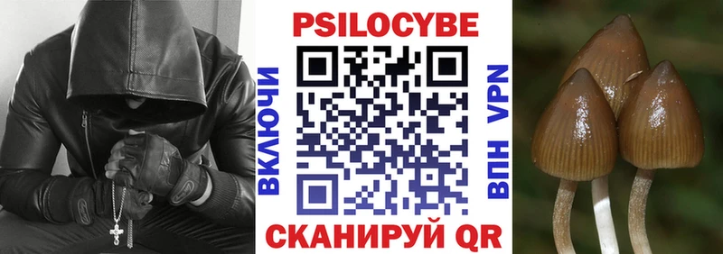 Купить где  Таштагол  Галлюциногенные грибы Cubensis 